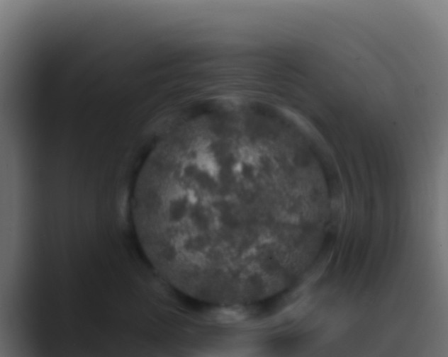 X0000089740765200706281607