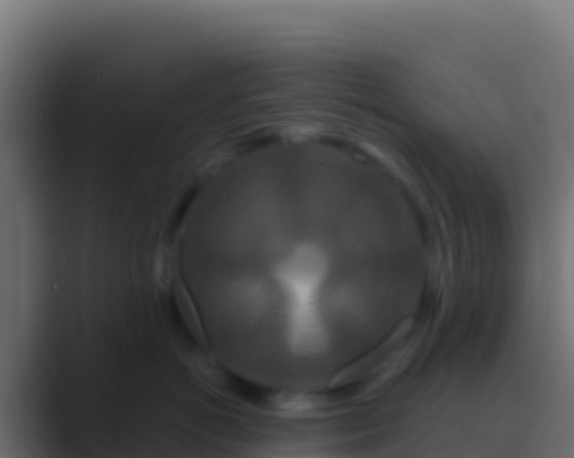 X0000089740766200706281607