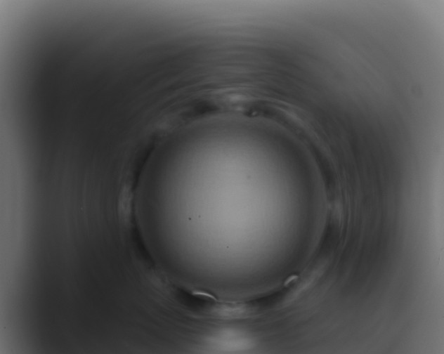 X0000089740767200706281607