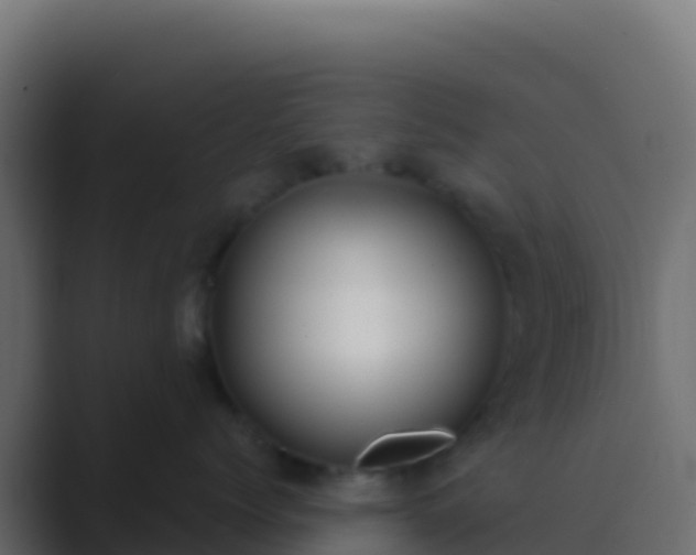 X0000089740768200706281607