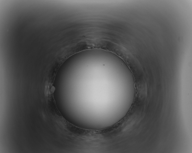 X0000089740770200706281607
