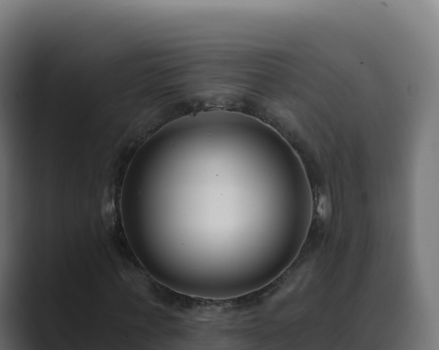 X0000089740771200706281607