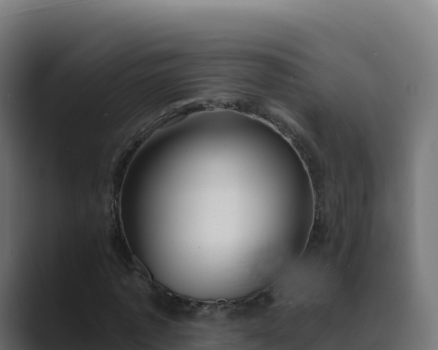 X0000089740773200706281607