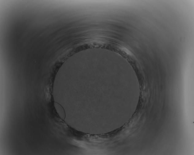 X0000089740774200706281607