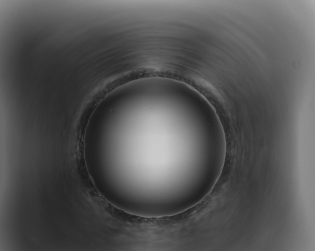 X0000089740776200706281607