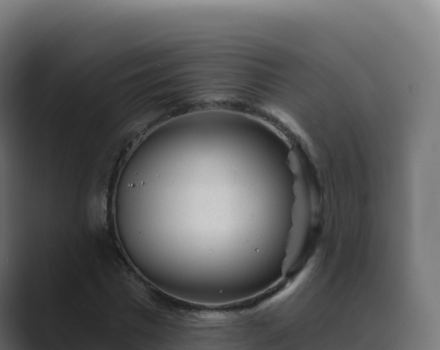 X0000089740777200706281607