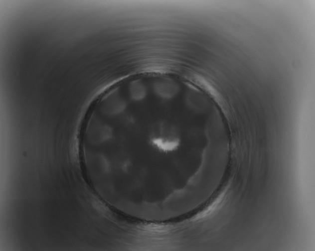 X0000089740779200706281606