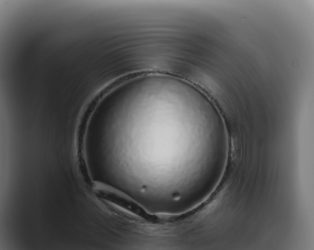 X0000089740780200706281606