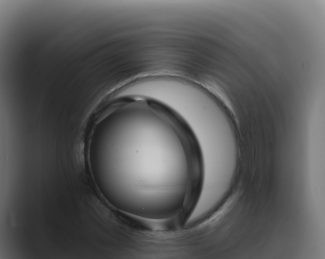 X0000089740781200706281606