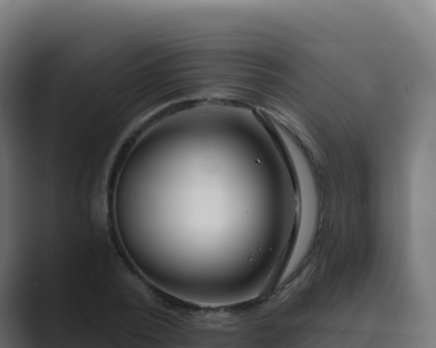 X0000089740784200706281606