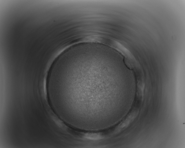X0000089740788200706281606