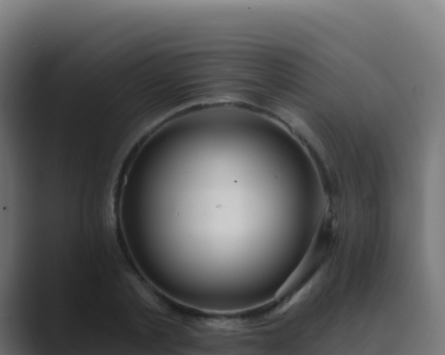 X0000089740789200706281606