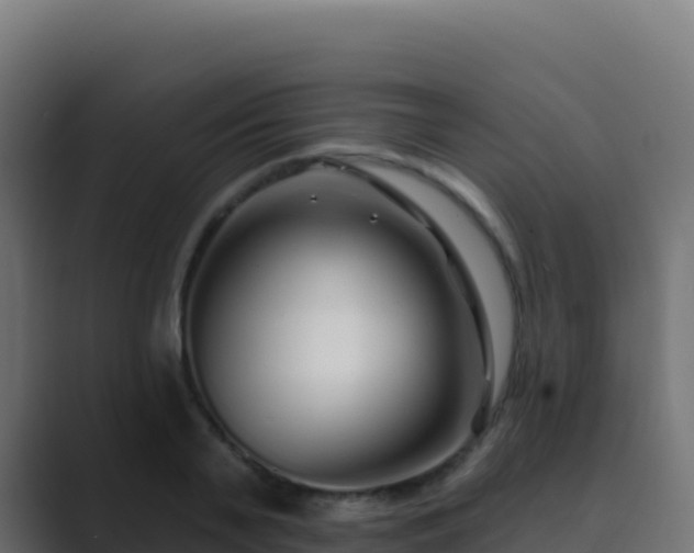 X0000089740791200706281606