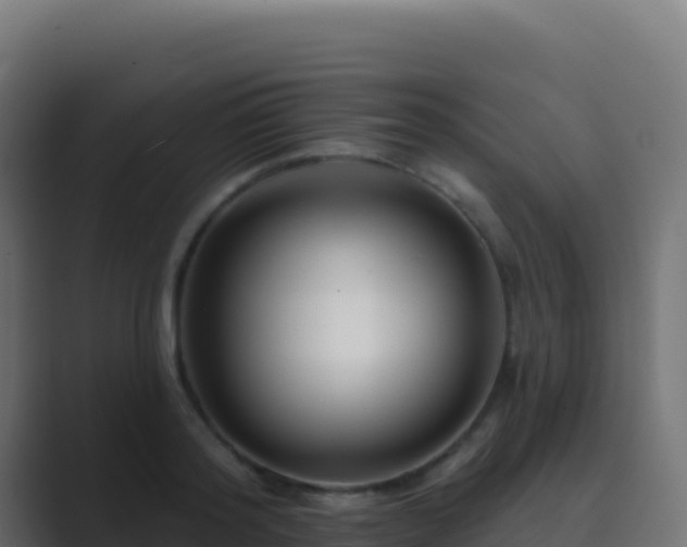 X0000089740796200706281606