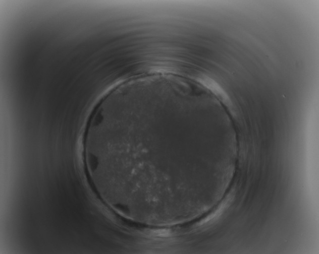X0000089740798200706281606