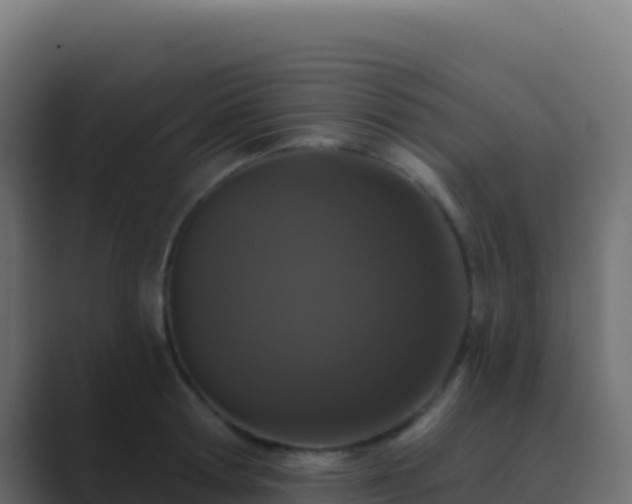 X0000089740802200706281606