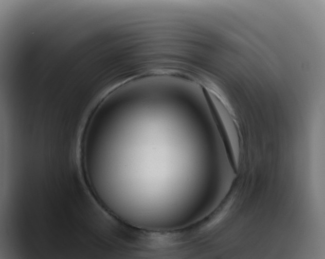 X0000089740803200706281606