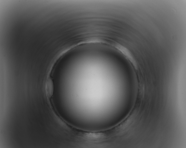 X0000089740805200706281606