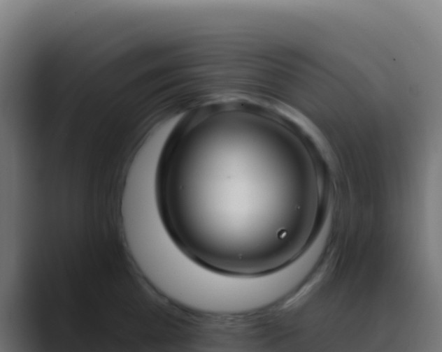 X0000089740809200706281606