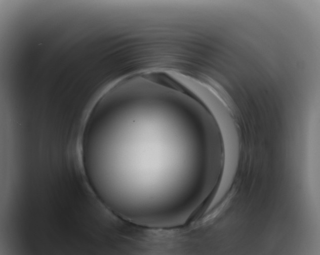 X0000089740812200706281606