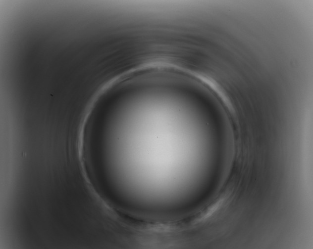 X0000089740815200706281606