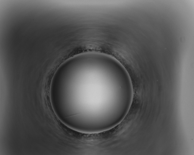 X0000089740817200706281606