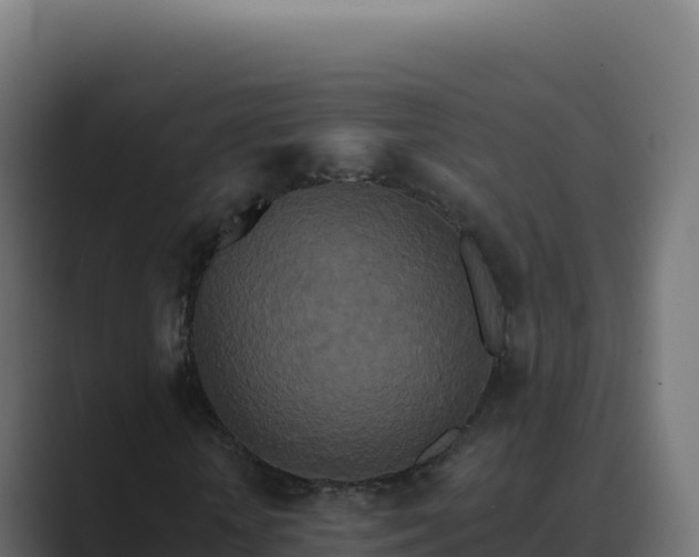 X0000089740818200706281606