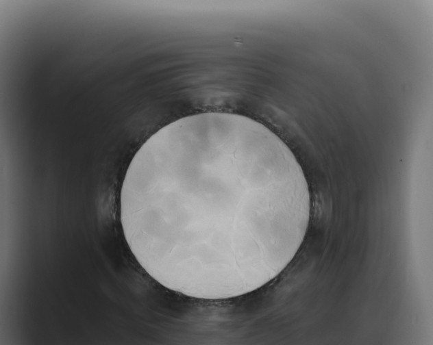 X0000089740820200706281606