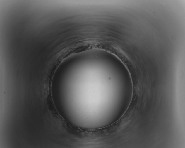 X0000089740821200706281606