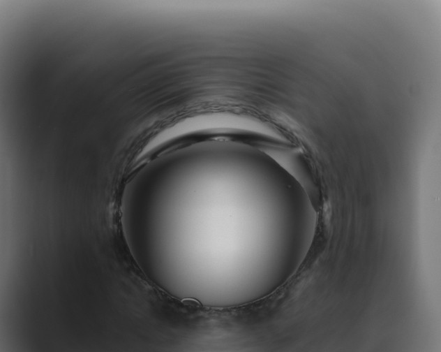 X0000089740822200706281606