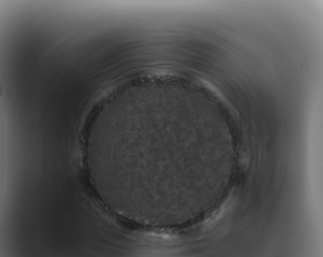 X0000089740823200706281606