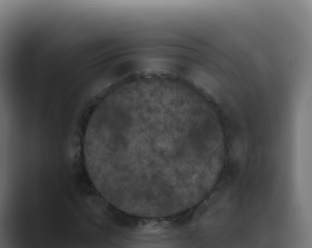 X0000089740824200706281606