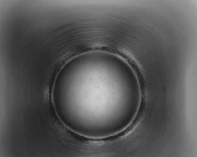 X0000089740825200706281606