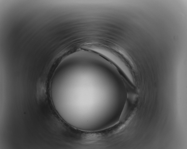 X0000089740826200706281606