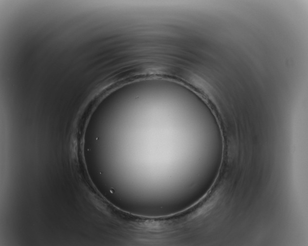 X0000089740827200706281606