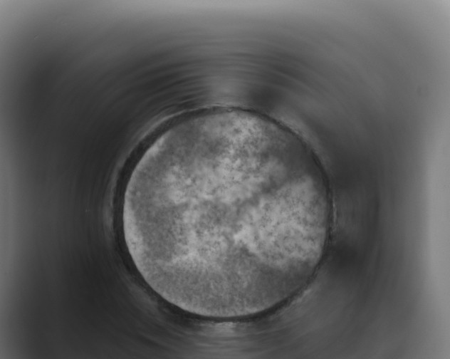 X0000089740828200706281606