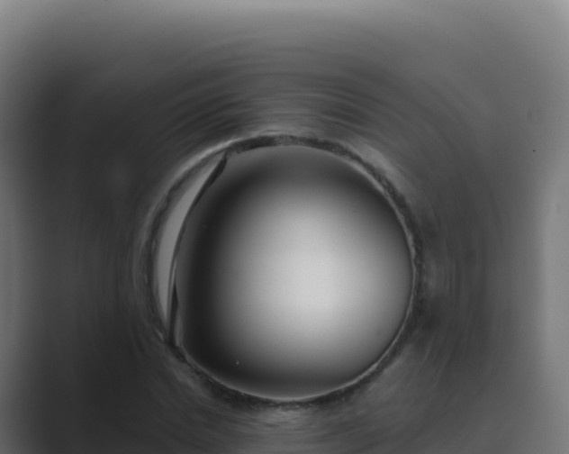 X0000089740830200706281606