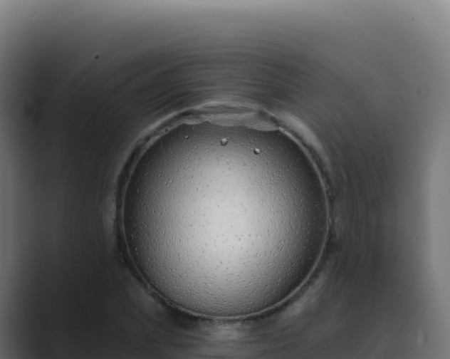 X0000089740831200706281606