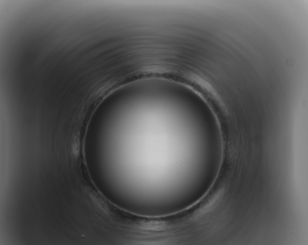 X0000089740833200706281606