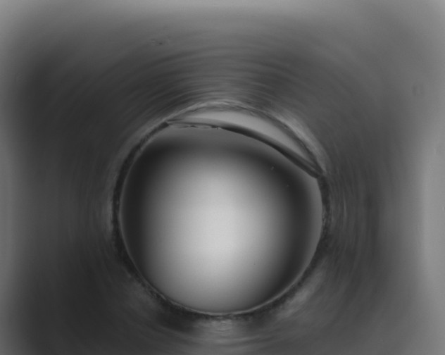 X0000089740834200706281606