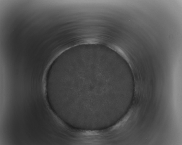 X0000089740835200706281606