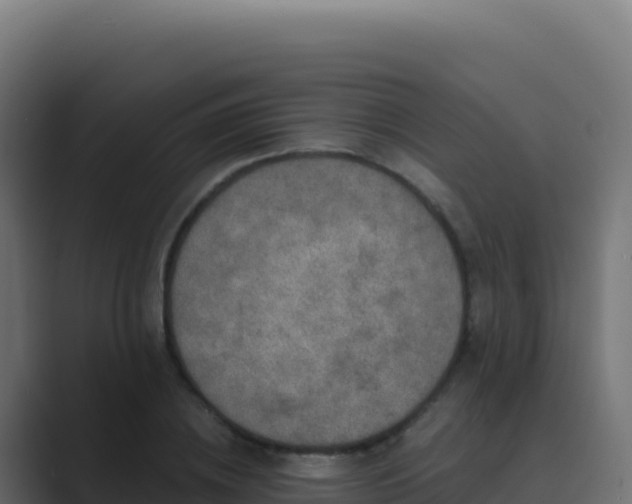 X0000089740836200706281606