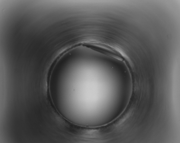 X0000089740837200706281606