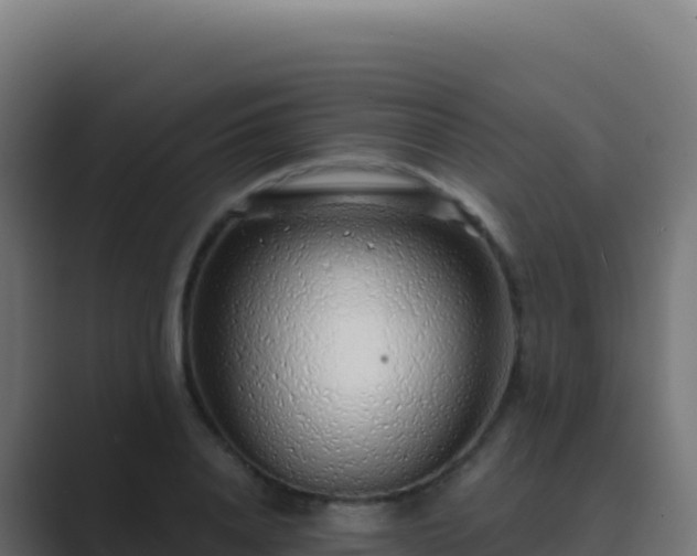 X0000089740840200706281606