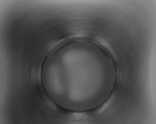 X0000089740842200706281606
