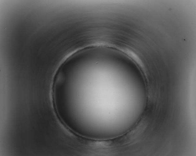 X0000089740847200706281606