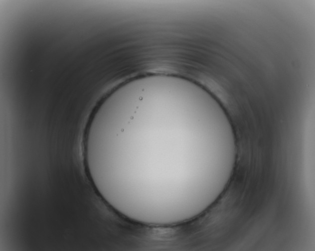 X0000089740848200706281606