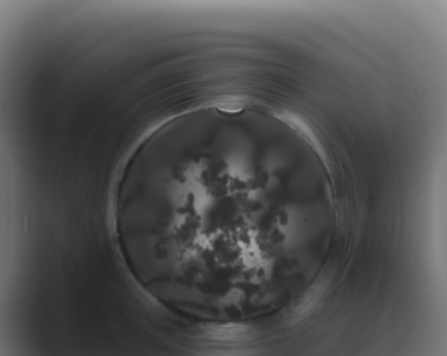 X0000089740851200706281606
