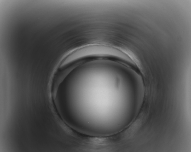 X0000089740854200706281606
