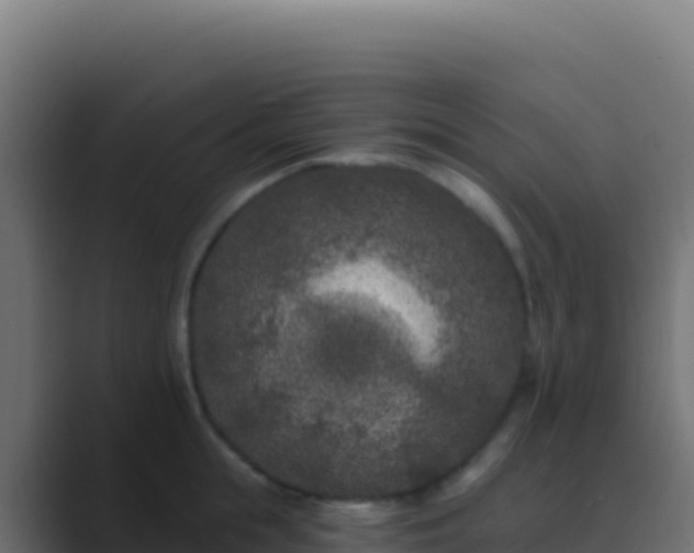 X0000089740855200706281606
